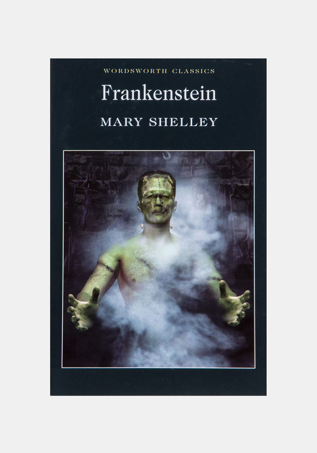Frankenstein by Mary Shelley | Gothic Horror Novel | Wordsworth Classics