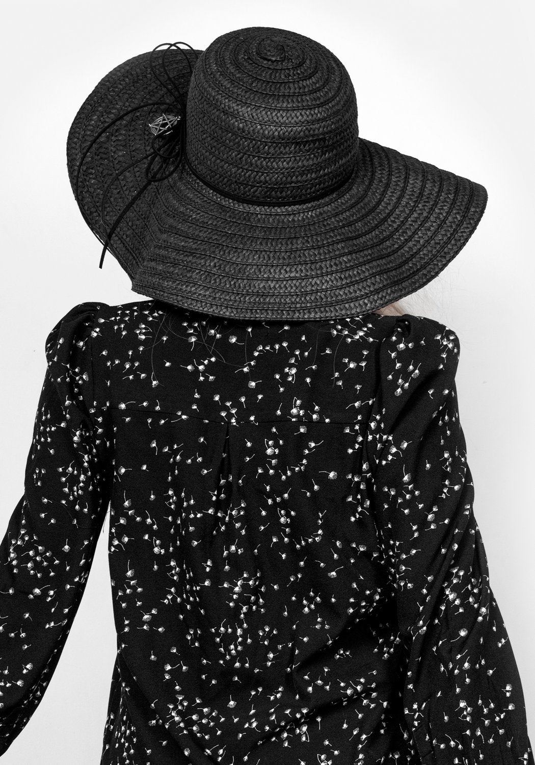 Sheer Puff Sleeve Blouse with V-Neck & Button Cuffs | Hemlock Print Top