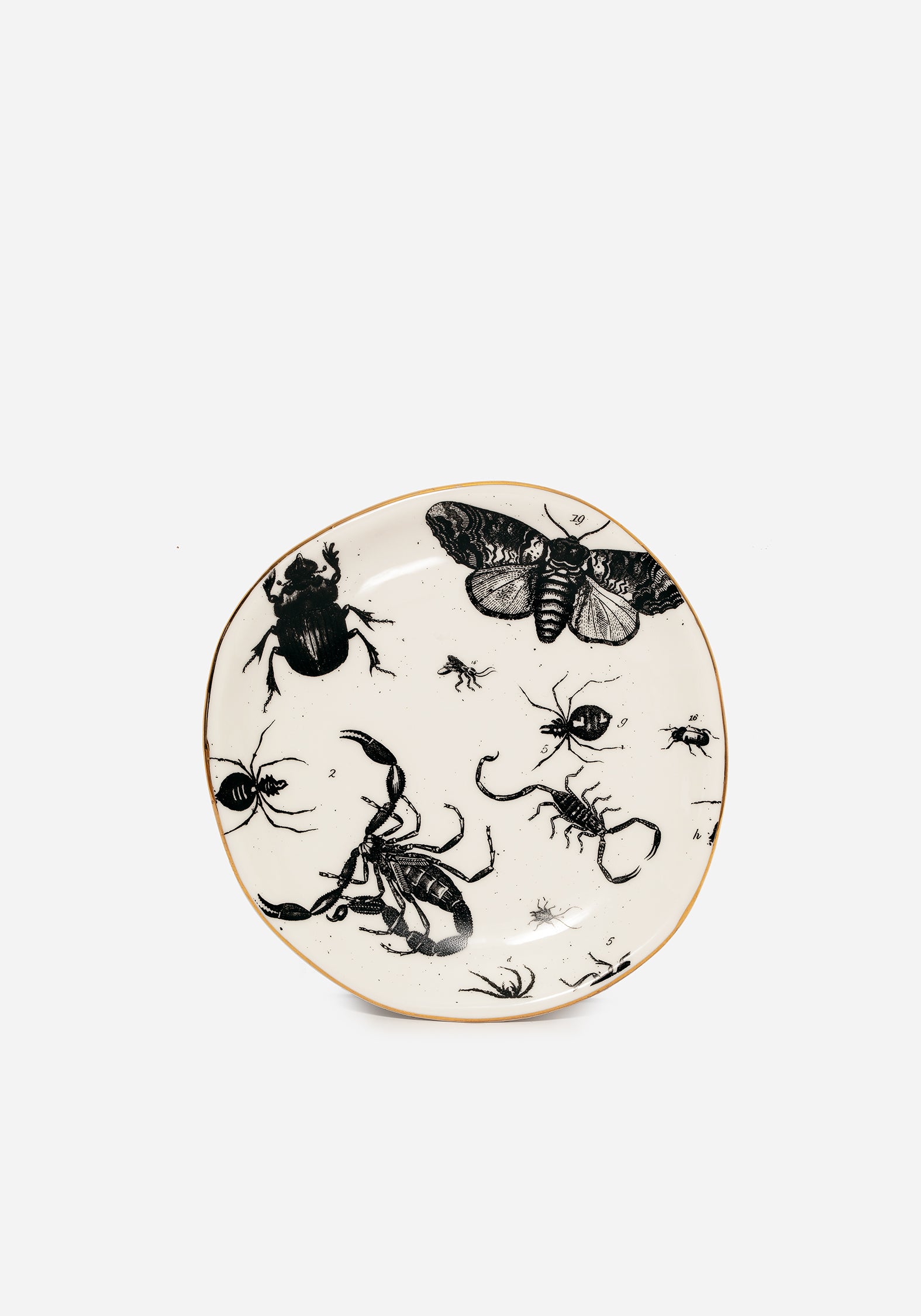Ceramic Trinket Dish with Parasite Bugs Print & Gold Foil Rim | Hand-Wrought Finish