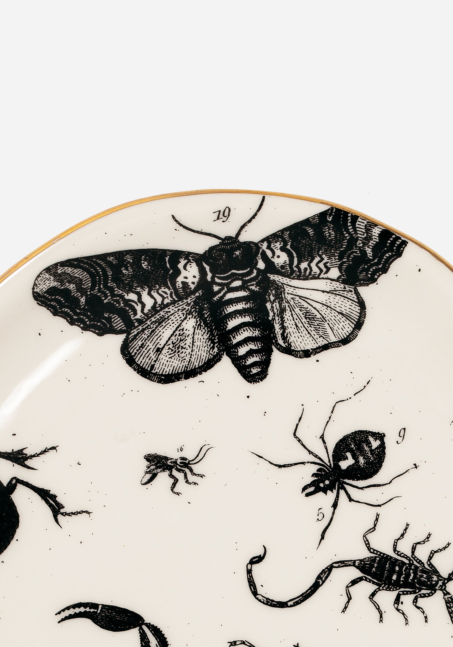 Ceramic Trinket Dish with Parasite Bugs Print & Gold Foil Rim | Hand-Wrought Finish