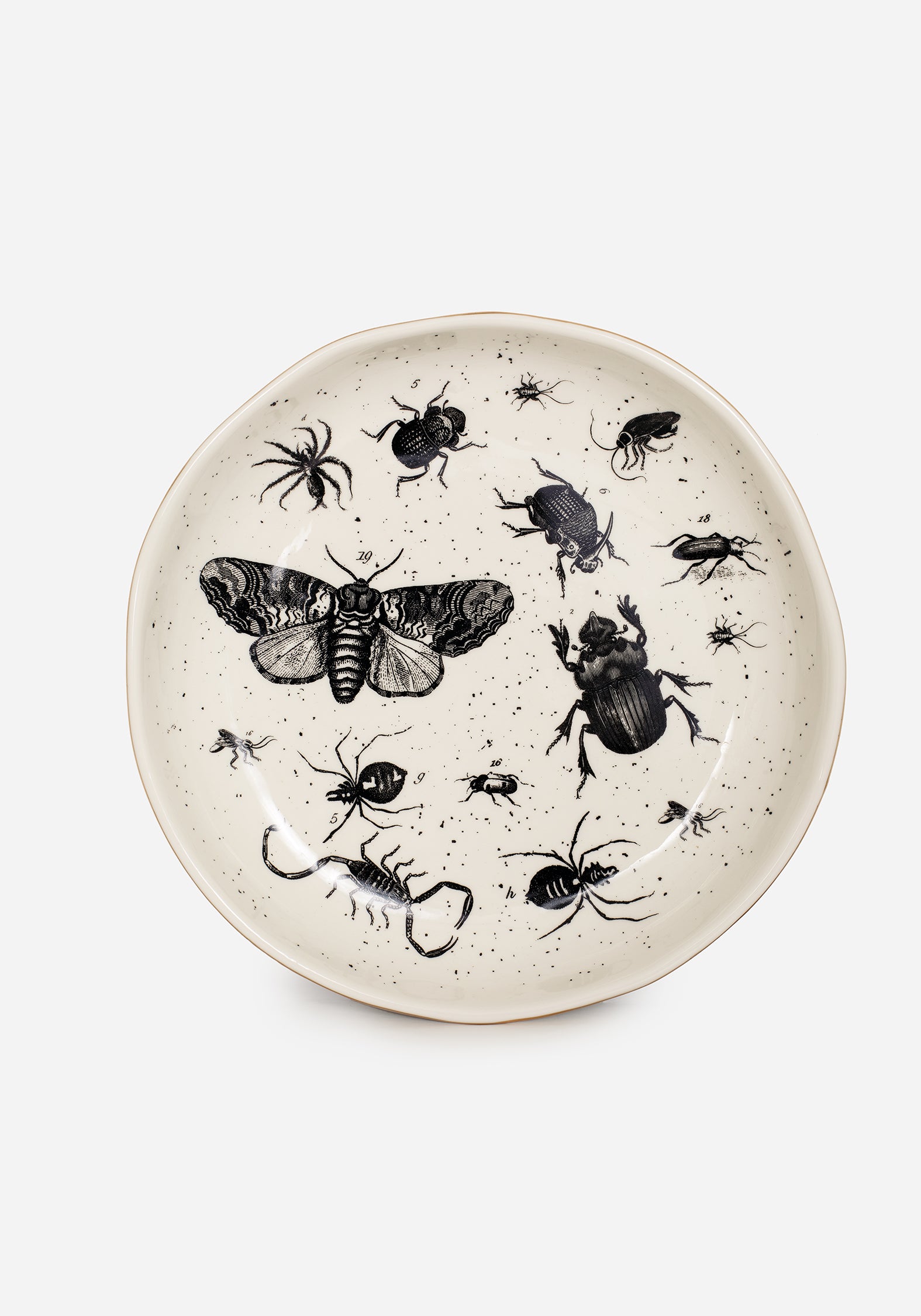 Ceramic Plate with Bug Print & Gold Rim | Parasite Collection