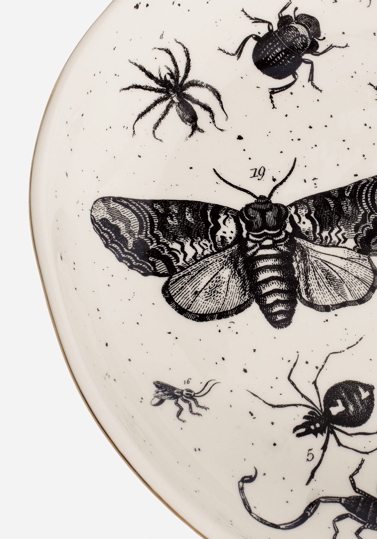 Ceramic Plate with Bug Print & Gold Rim | Parasite Collection