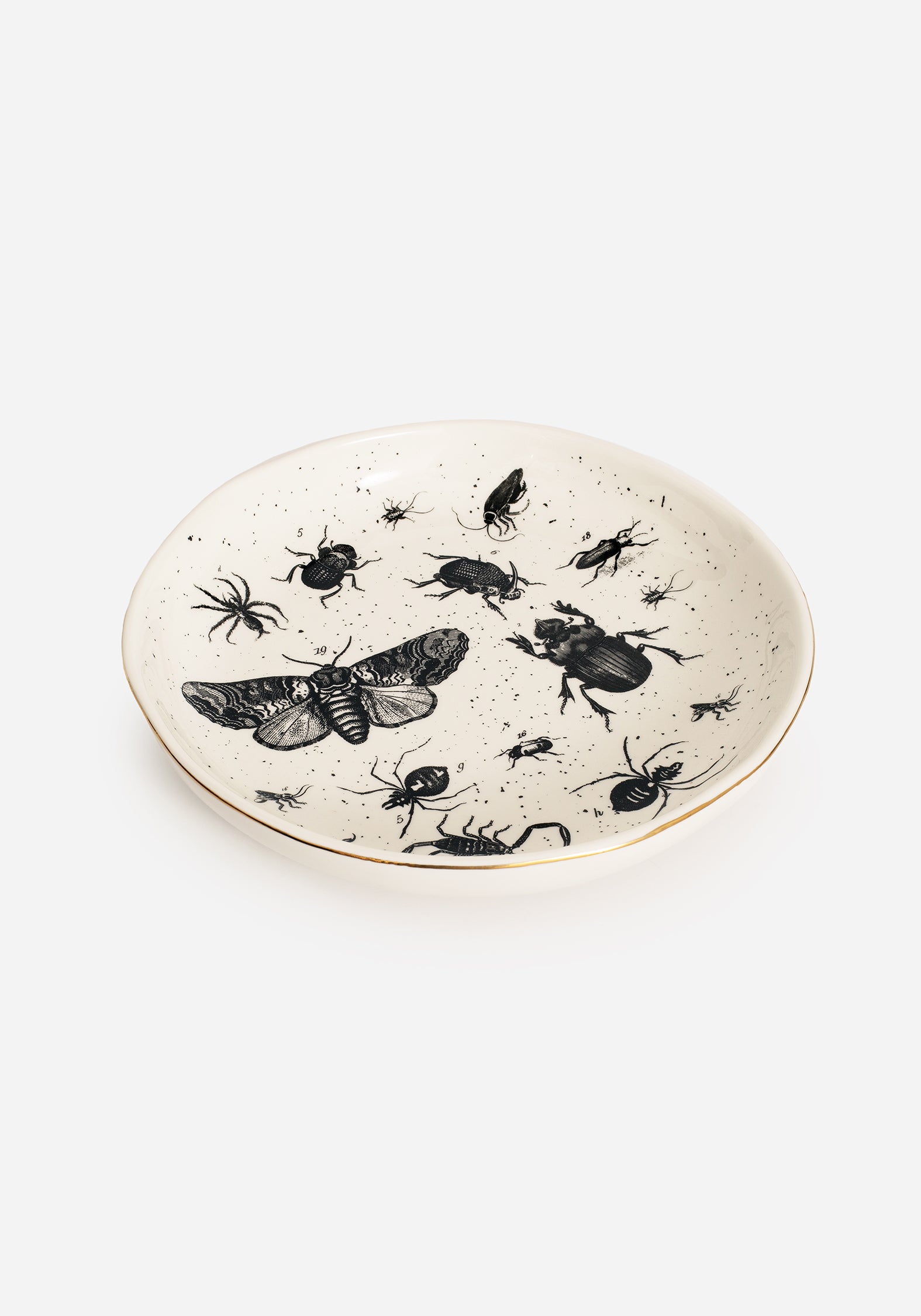 Ceramic Plate with Bug Print & Gold Rim | Parasite Collection