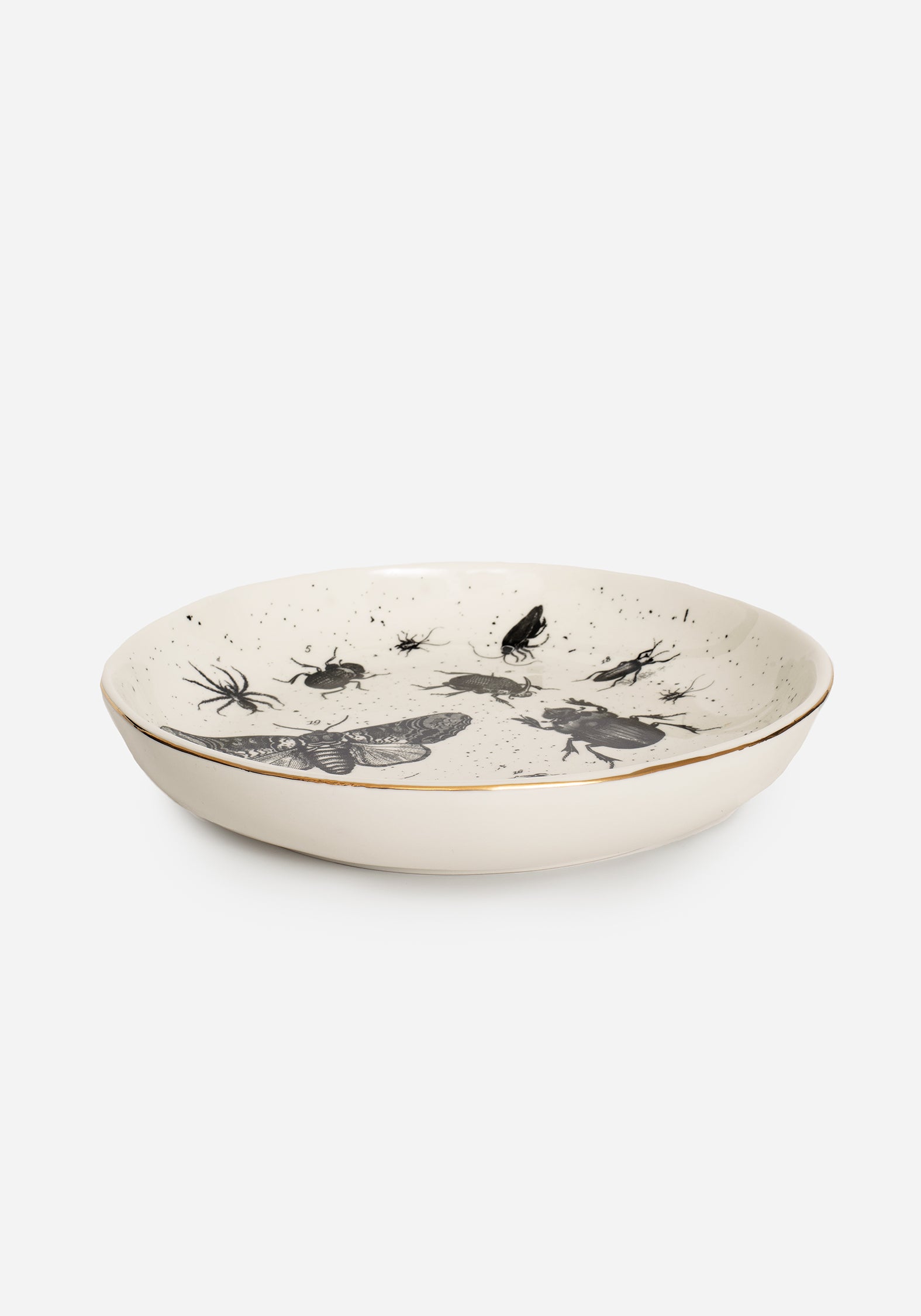 Ceramic Plate with Bug Print & Gold Rim | Parasite Collection