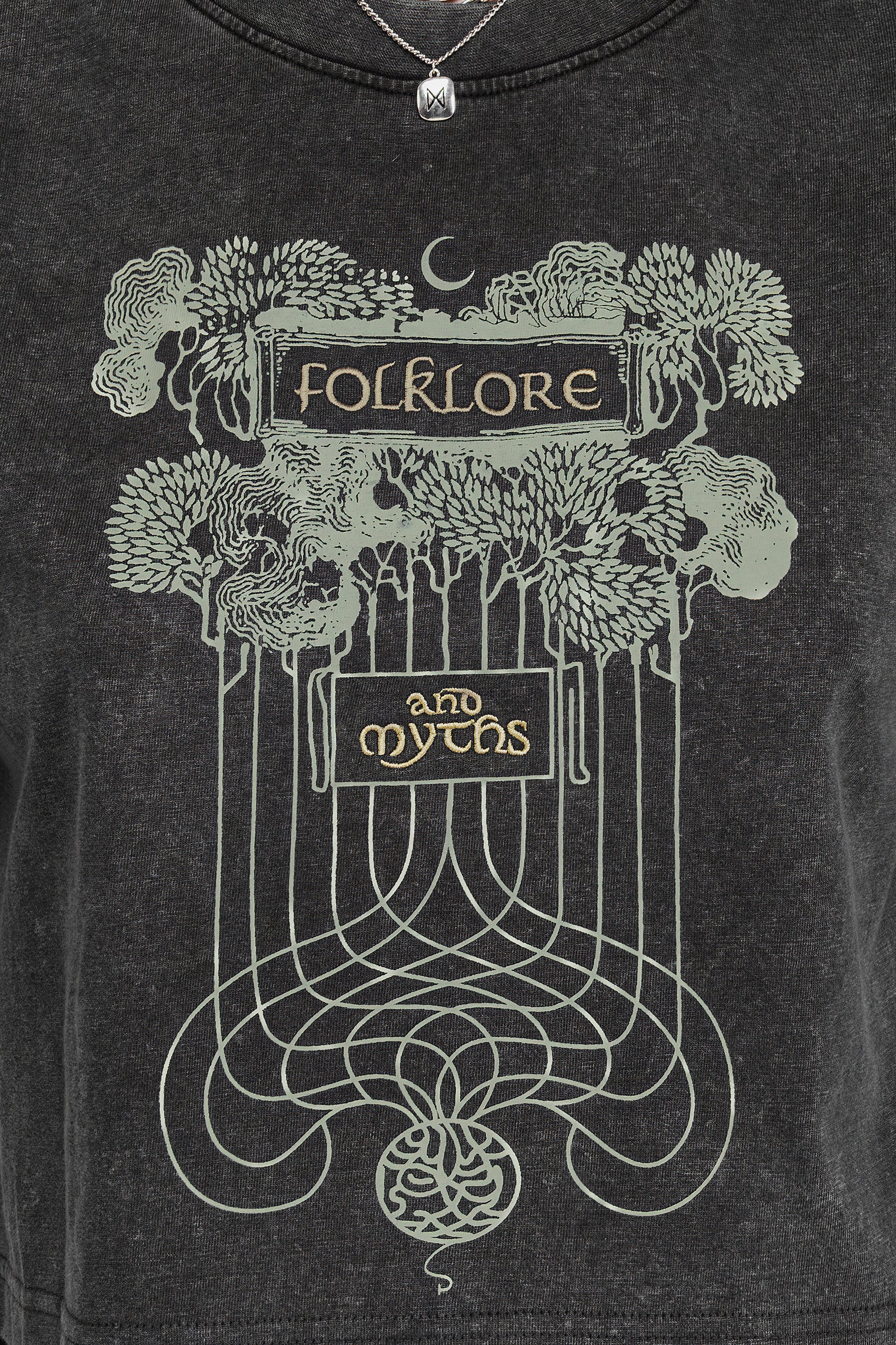 Embroidered Boxy Crop T-Shirt in Washed Grey | Folklore