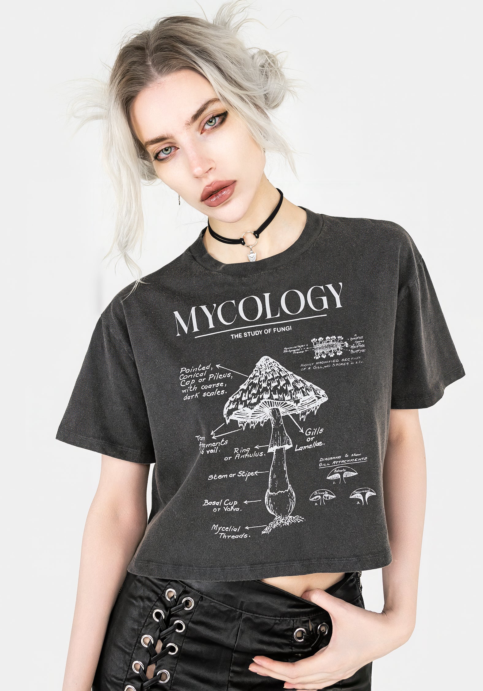 Mushroom Graphic Crop T-Shirt | Boxy Fit & Soft Cotton | Mycology